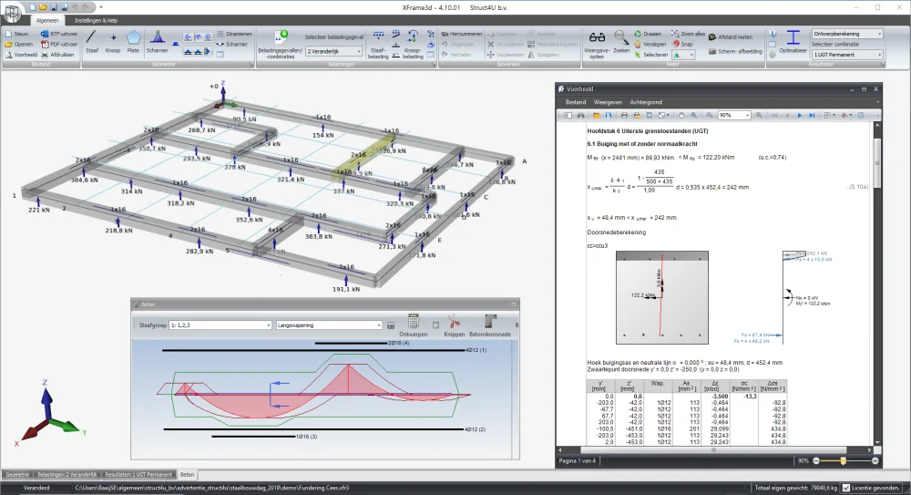 XFrame3d: foundation beam grid with pile reactions, the longitudinal reinforcement of a member group and a report preview