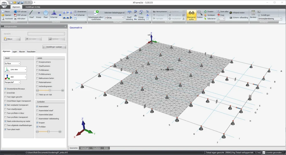 XFrame3d 5.00.03: geometry of a meshed slab on point supports, with grid lines